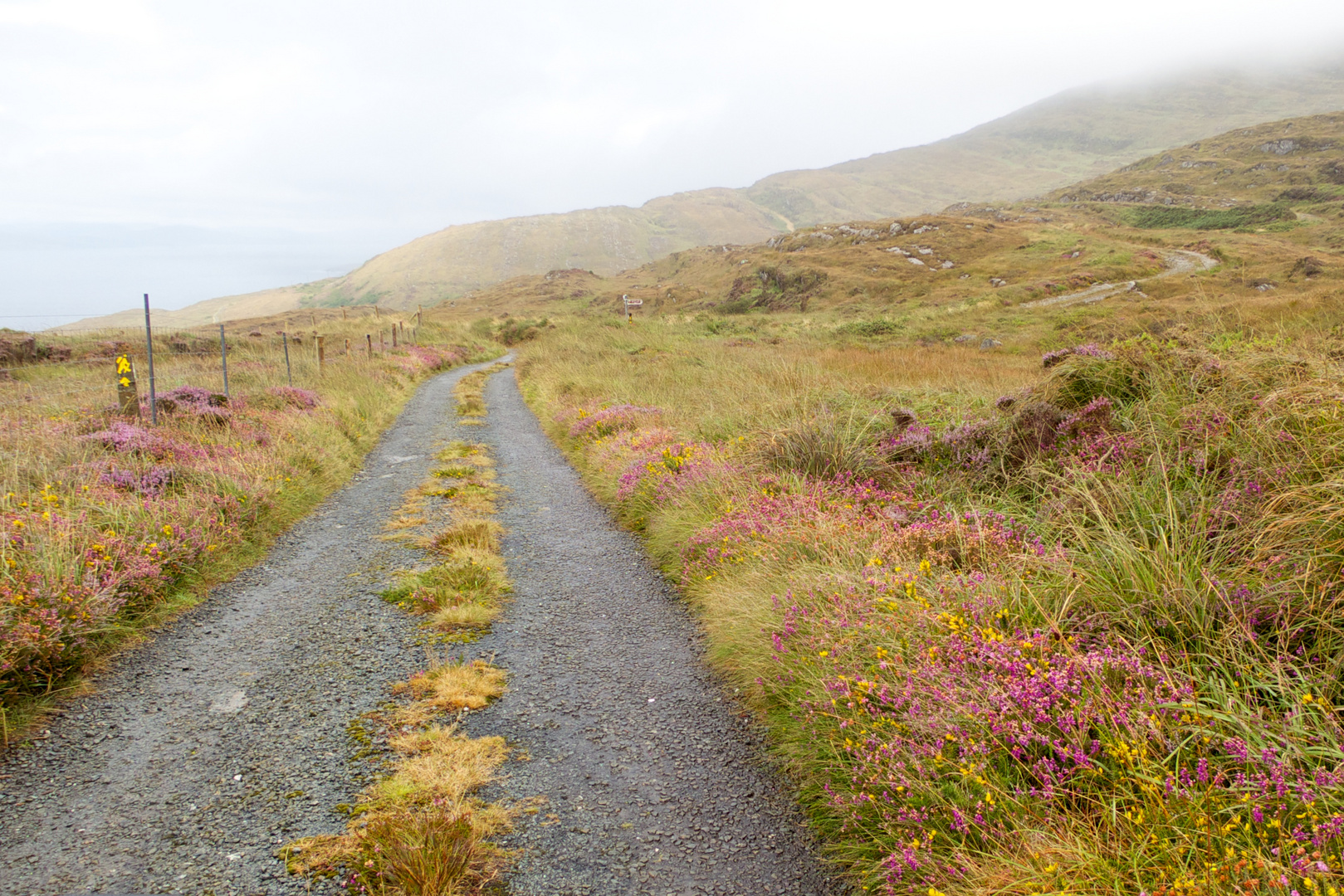 Sheeps Head Drive