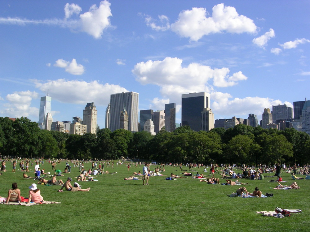 Sheep's Meadow, Central Park, New York City, August 2007