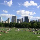 Sheep's Meadow, Central Park, New York City, August 2007