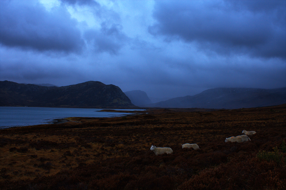 sHeEps to Gairloch