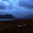 sHeEps to Gairloch