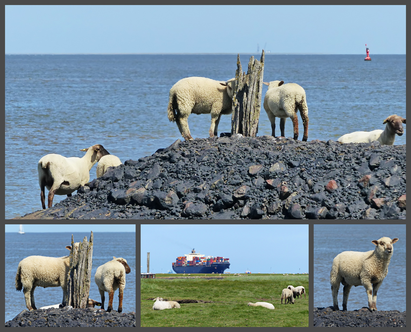 SheepShipSpotter