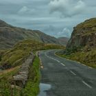 Sheeptrafic in Ireland