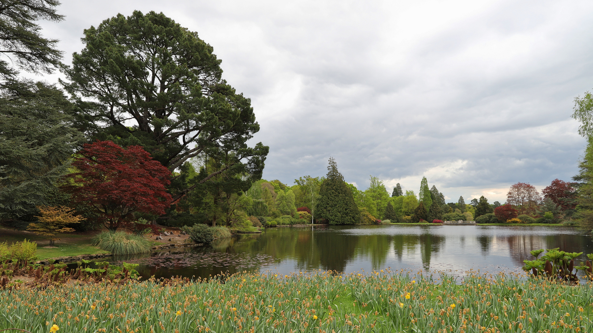 Sheffield Park (2019_05_02_EOS 6D Mark II_2022_ji)