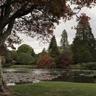 Sheffield Park and Garden (2019_05_02_EOS 6D Mark II_1985_ji)