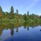 Sheffield Park and Garden