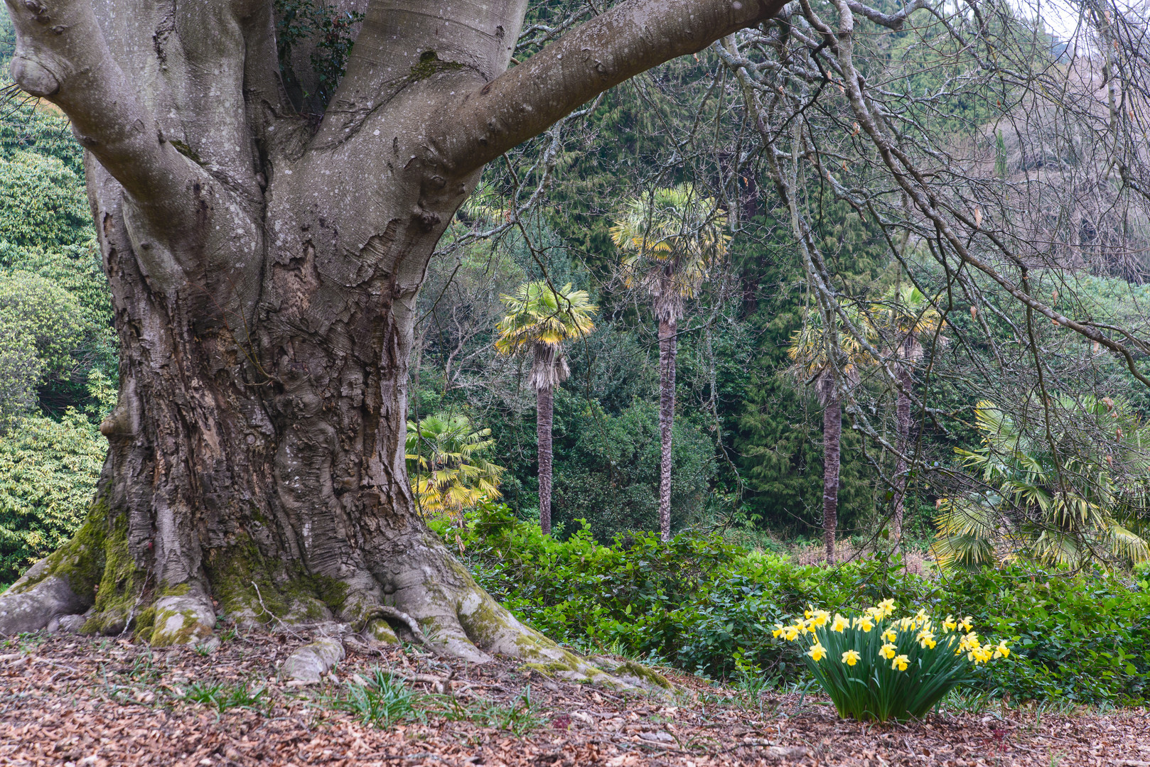 [ Sheffield Park ]