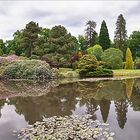 Sheffield Park & Garden