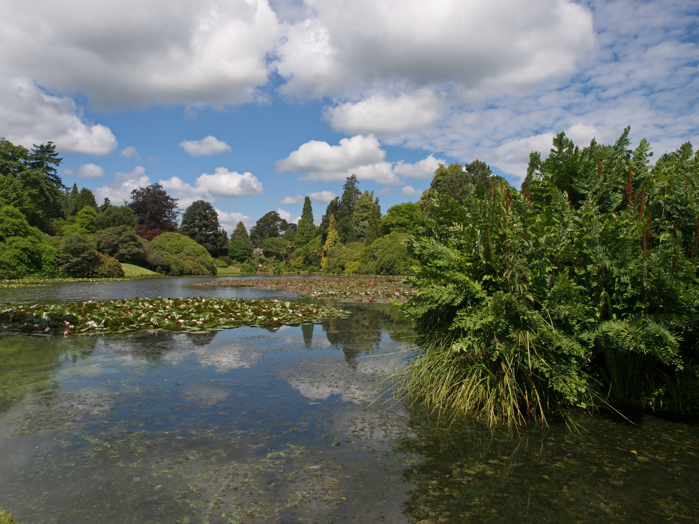 Sheffield Park Garden, East Sussex, England