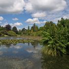 Sheffield Park Garden, East Sussex, England