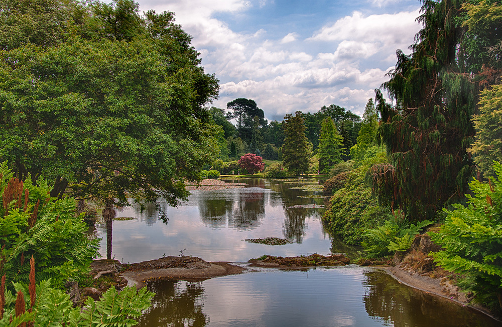 Sheffield Park I