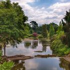 Sheffield Park I