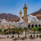 Sheikh Zayed al Nahyan Mosque