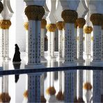 Sheikh Zayed Grand Mosque (3)