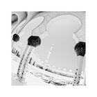 sheikh zayed grand mosque no 1