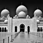 Sheikh Zayed Mosque