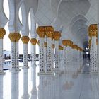 Sheikh Zayed Mosque