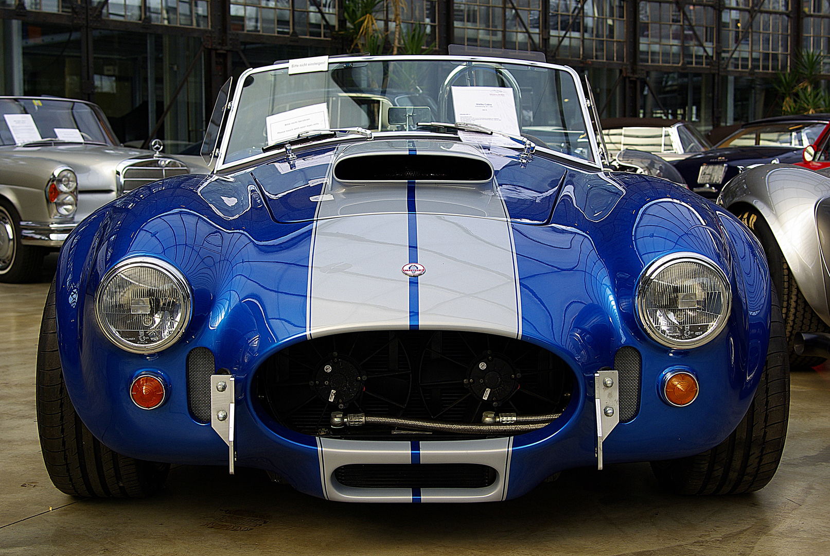 Shelby Cobra