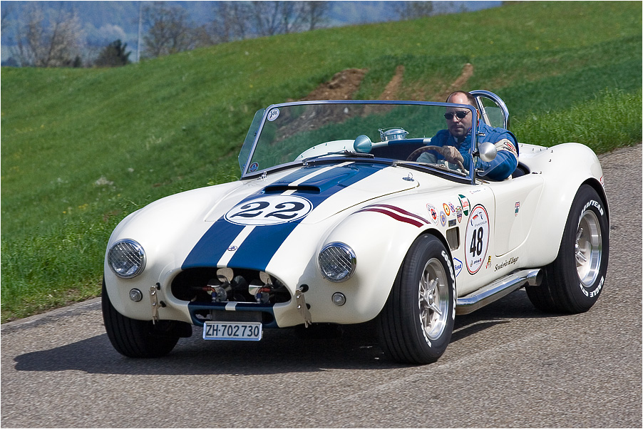 Shelby Cobra 289