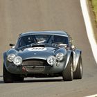 Shelby Cobra 289 