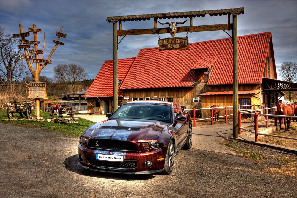 Shelby Cobra GT 500 Ford Mustang