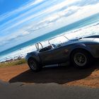 Shelby Cobra - South Africa / Western Cape