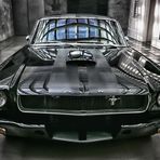 Shelby GT 350 - Fotoserie