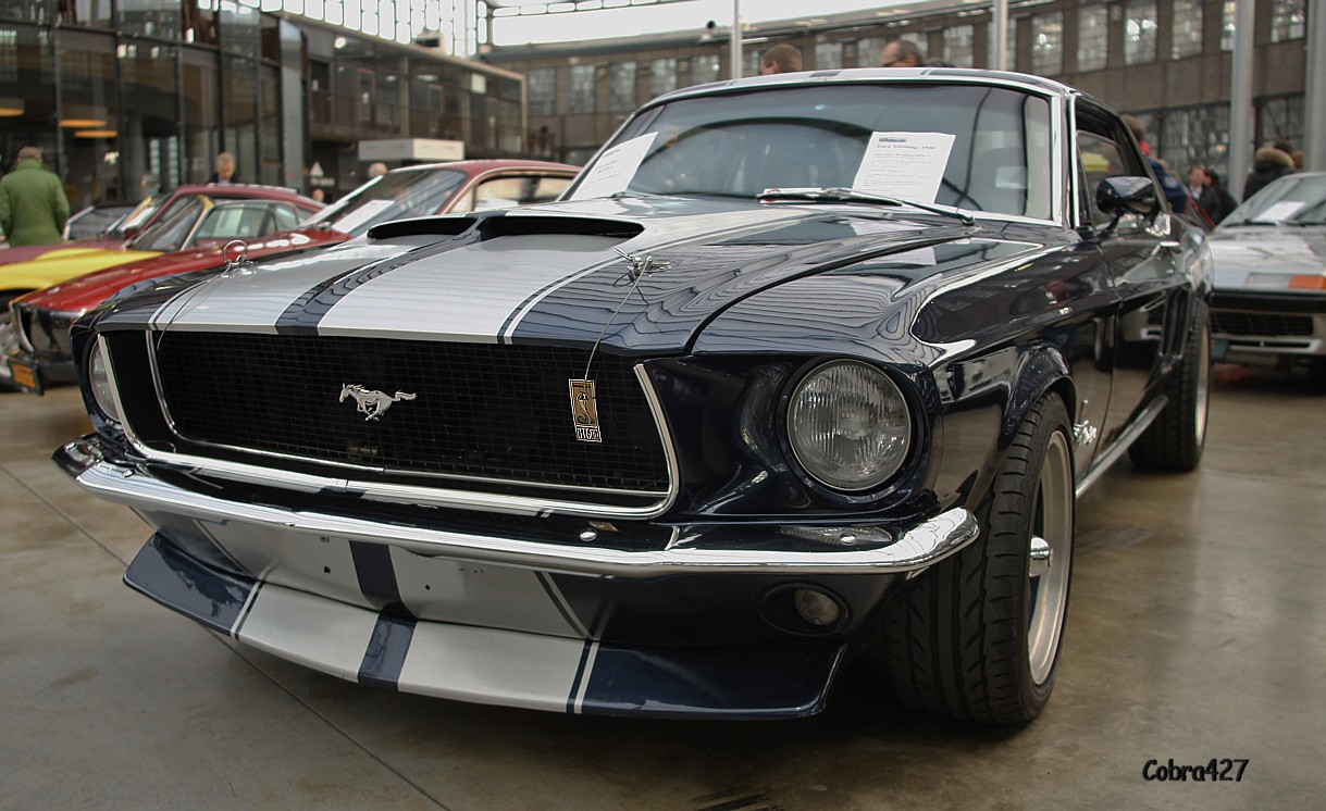 Shelby GT 500 Front