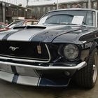 Shelby GT 500 Front