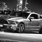 Shelby Mustang