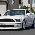 Shelby Mustang GT