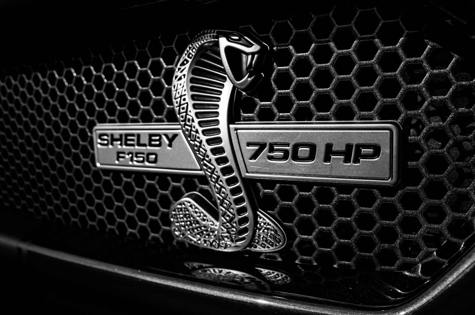 Shelby Power