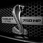 Shelby Power