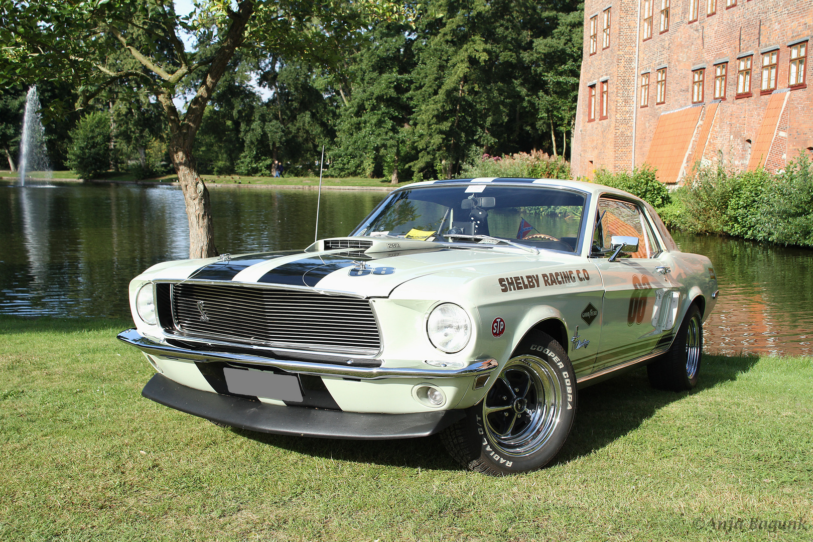 Shelby Racin C.O - Ford Mustang