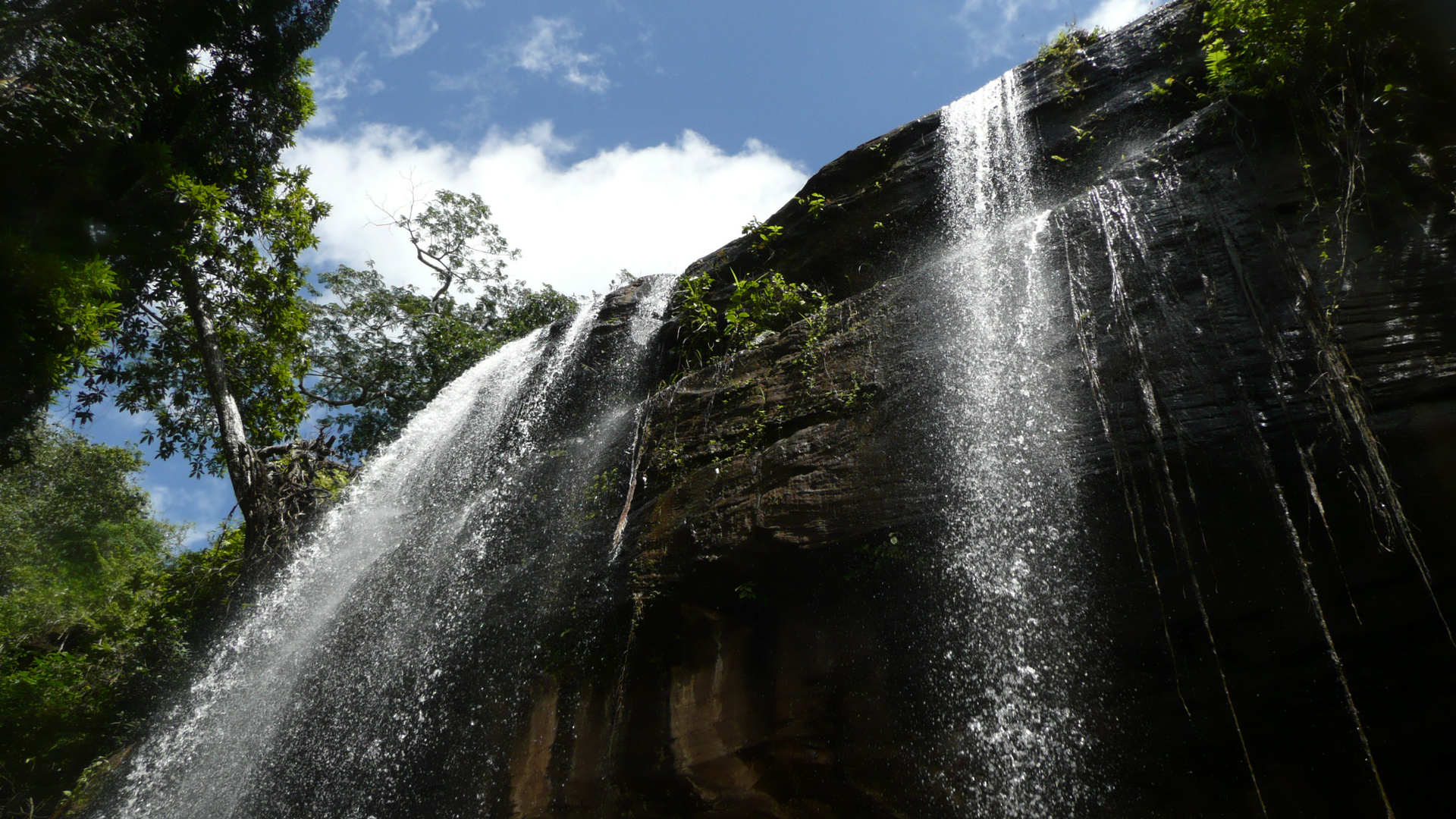 Sheldrick Falls