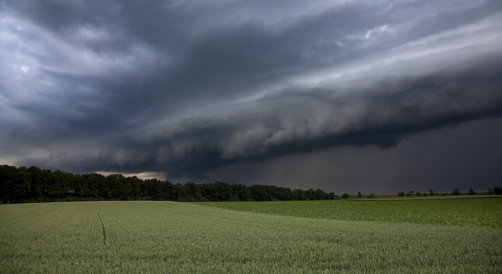 Shelf bei Jackerath - 6.6.2011