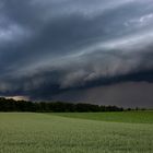 Shelf bei Jackerath - 6.6.2011