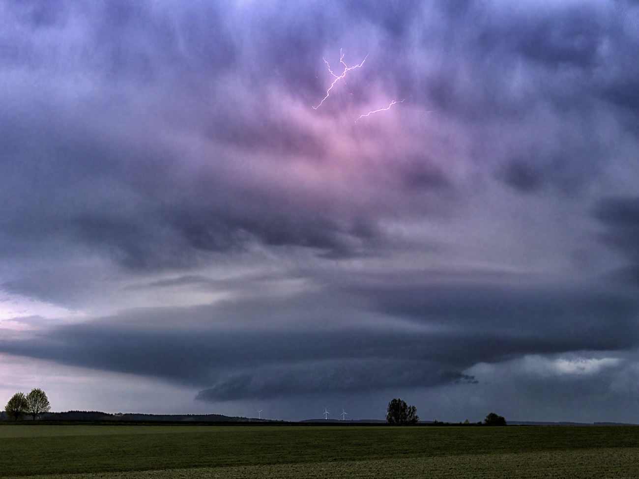  Shelfcloud 