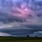  Shelfcloud 