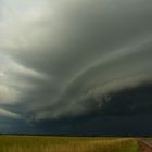 Shelfcloud