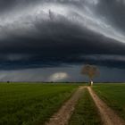 shelfcloud 