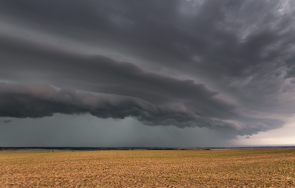 Shelfcloud