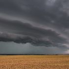 Shelfcloud