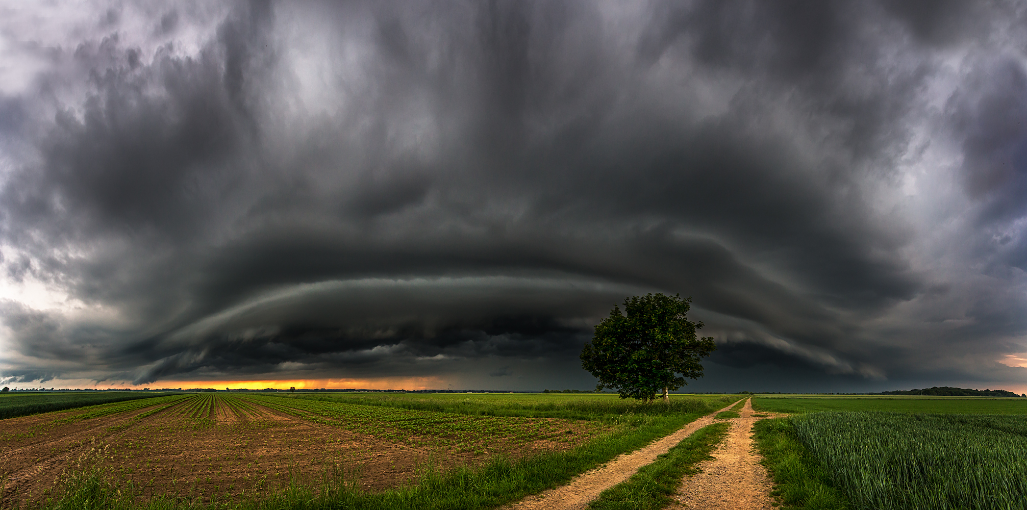 shelfcloud