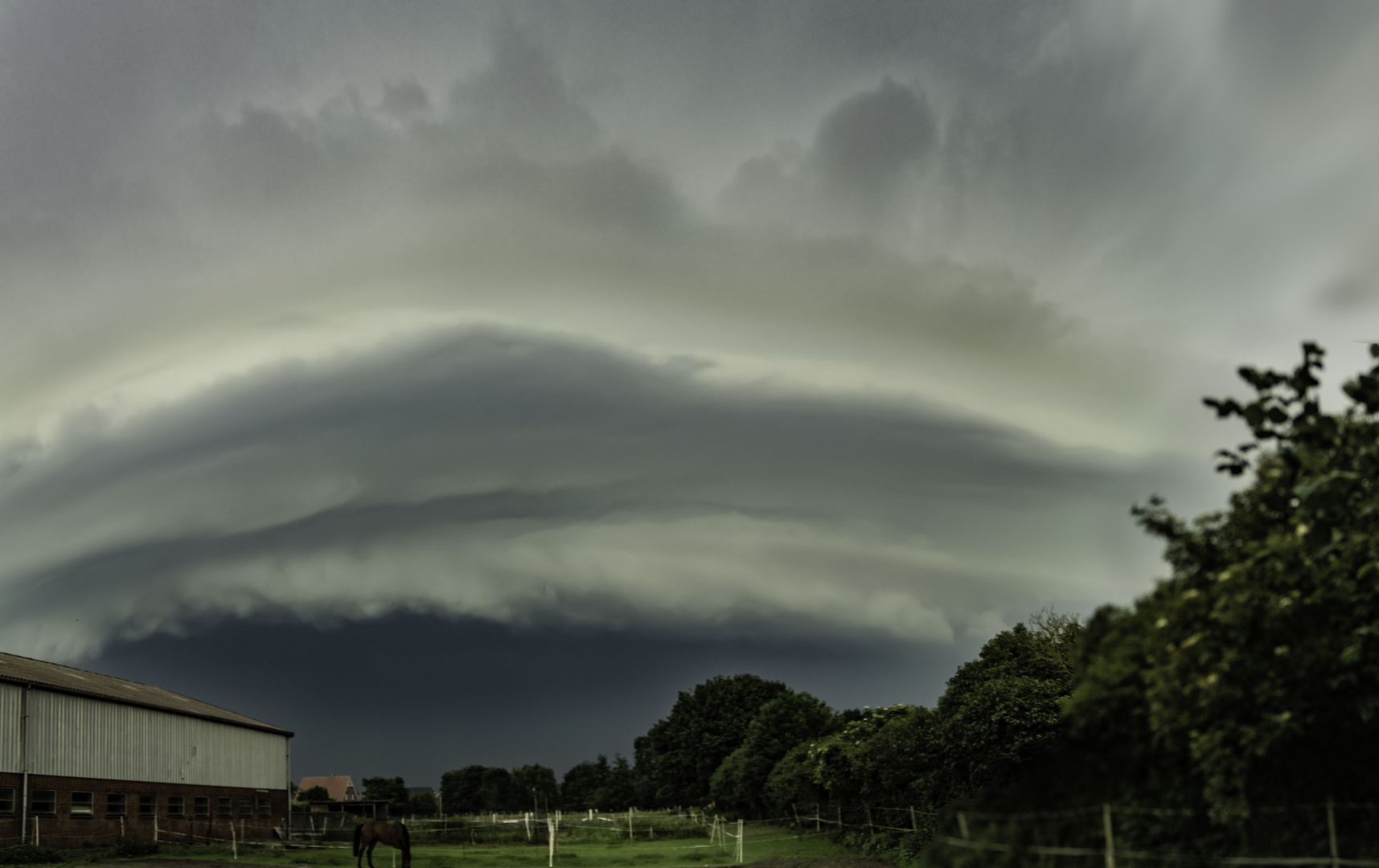 Shelfcloud