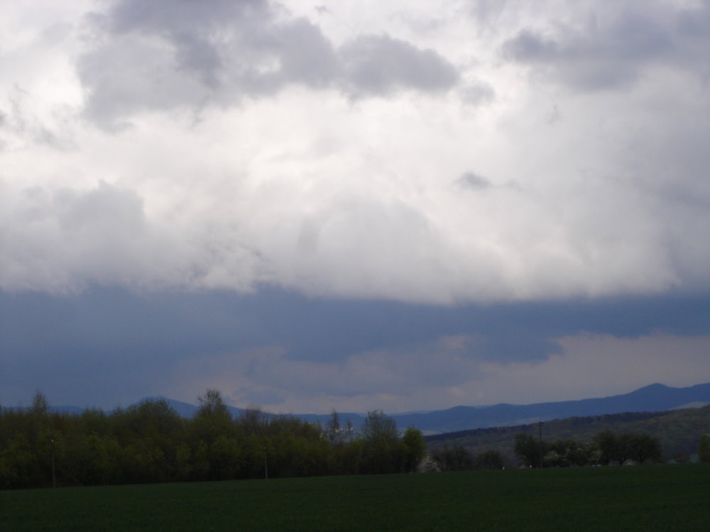 Shelfcloud