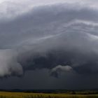 Shelfcloud Part 2