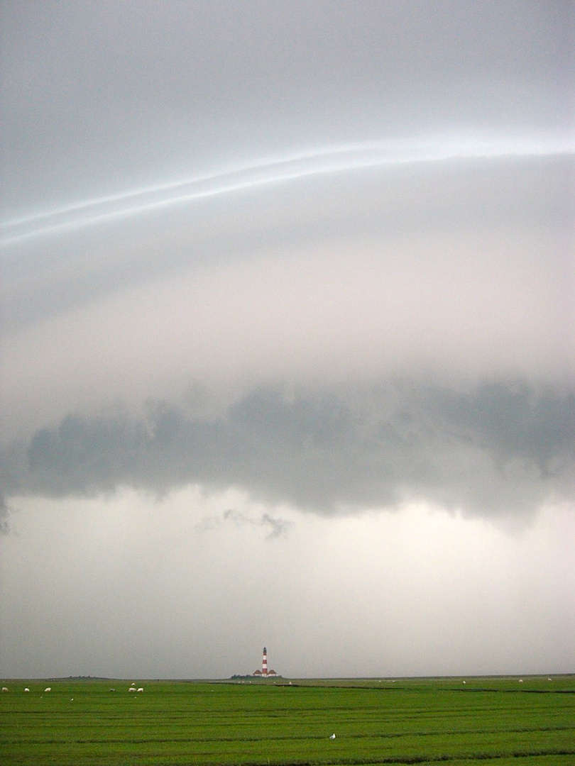 Shelfcloud über Westerheversand