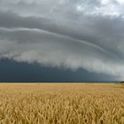 Shelfcloud überm Kornfeld