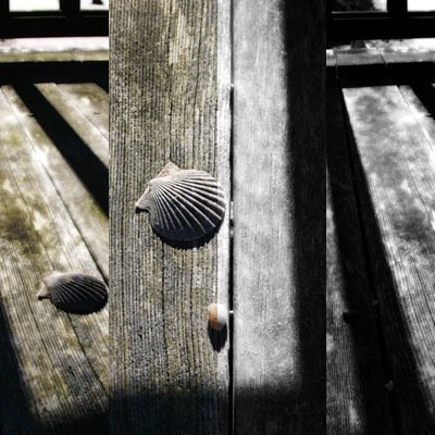 shell